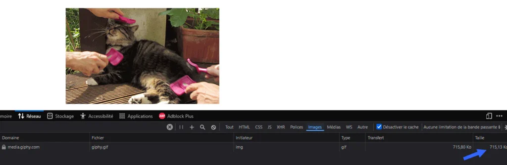 Fichier gif console développeur onglet réseau