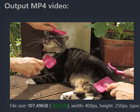 Fichier gif en mp4 via outil en ligne