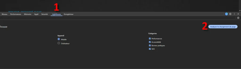 Lightouse sur google chrome